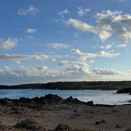 Orange Paradise * أرونا